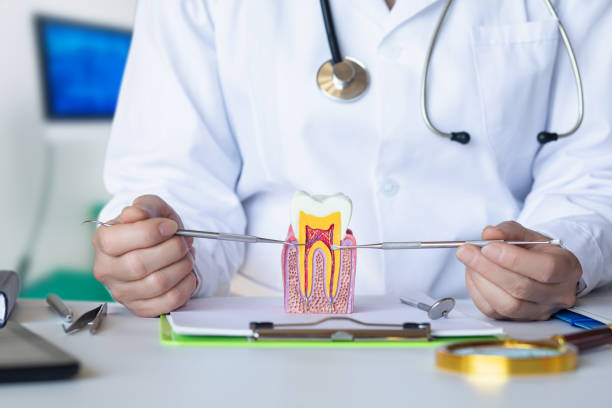 Best Weekend Emergency Dentist in Eureka, MO
